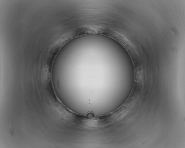 X0000112180318200908071332