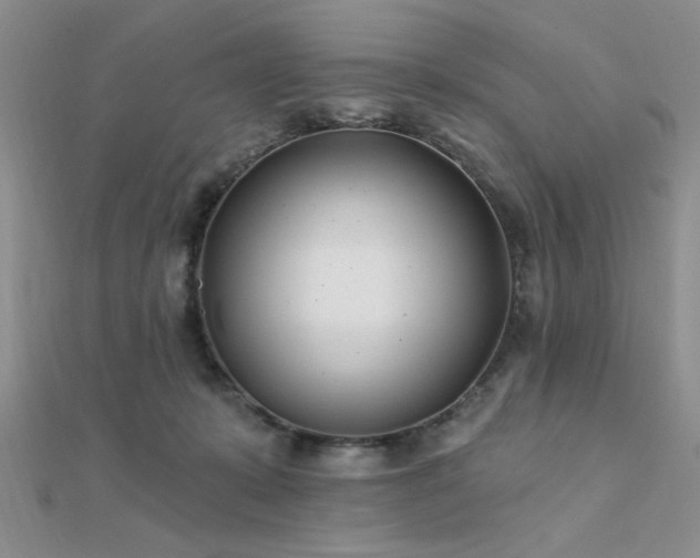 X0000112180319200908071332