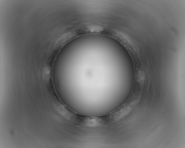 X0000112180321200908071332