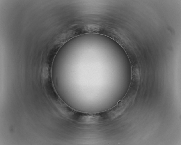 X0000112180323200908071332