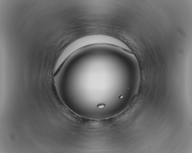 X0000112180325200908071332