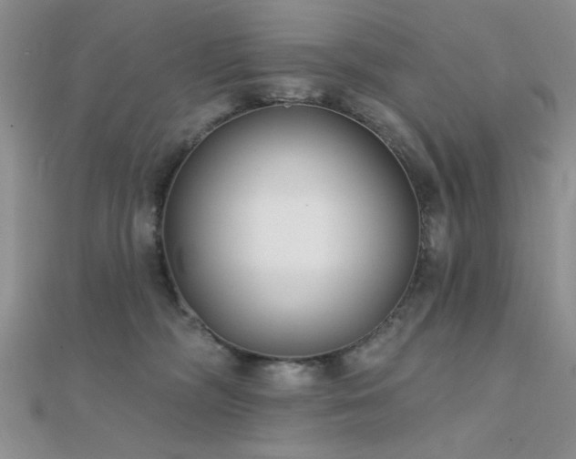 X0000112180326200908071332