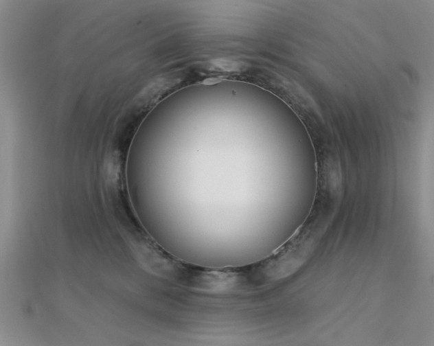 X0000112180328200908071332