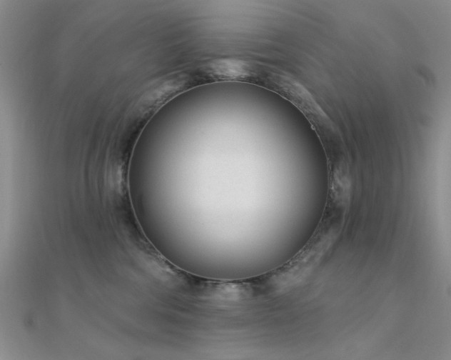 X0000112180330200908071332