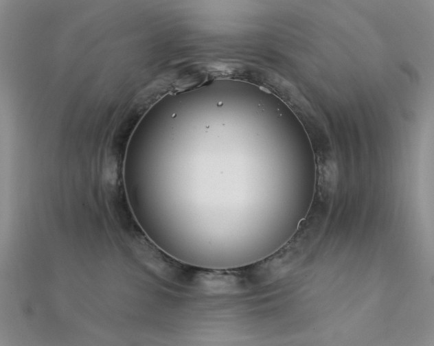 X0000112180331200908071332