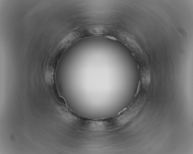 X0000112180332200908071331