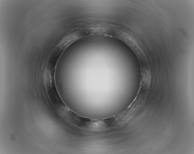 X0000112180333200908071331