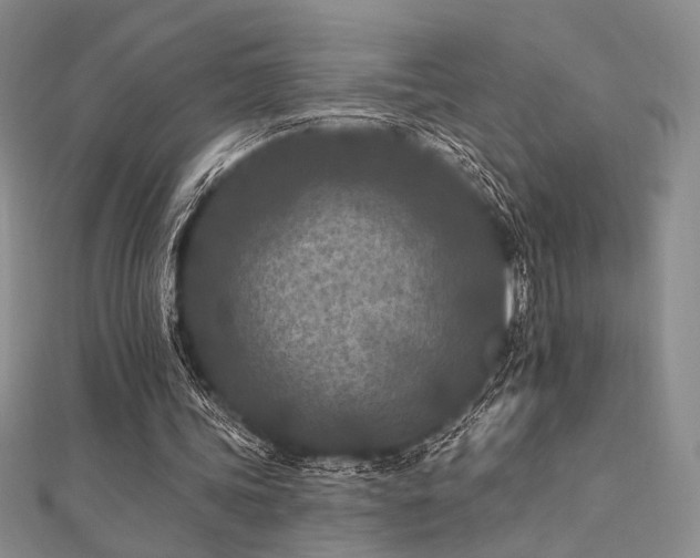 X0000112180339200908071331