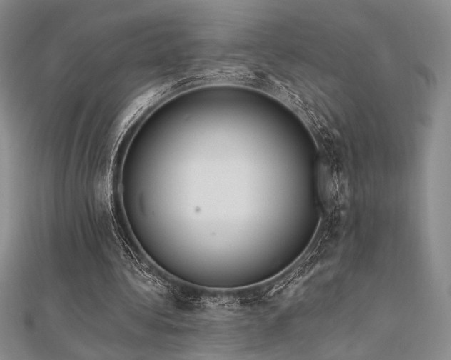 X0000112180340200908071331