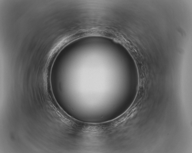 X0000112180341200908071331