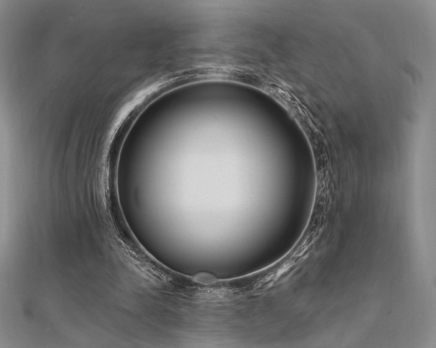 X0000112180342200908071331