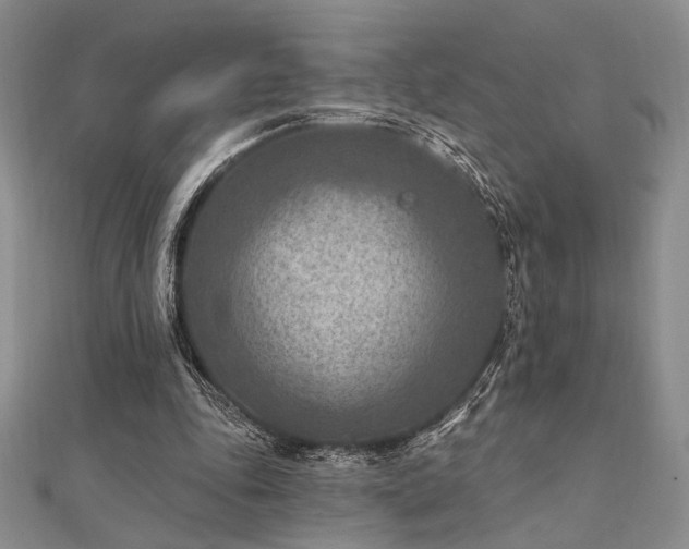 X0000112180343200908071331