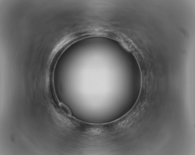 X0000112180344200908071331