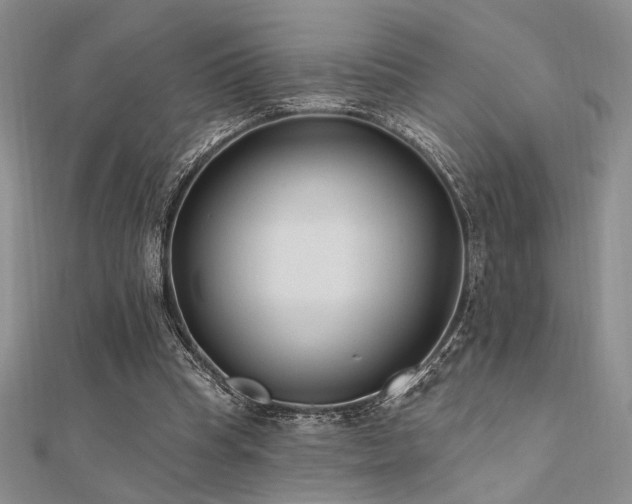 X0000112180345200908071331