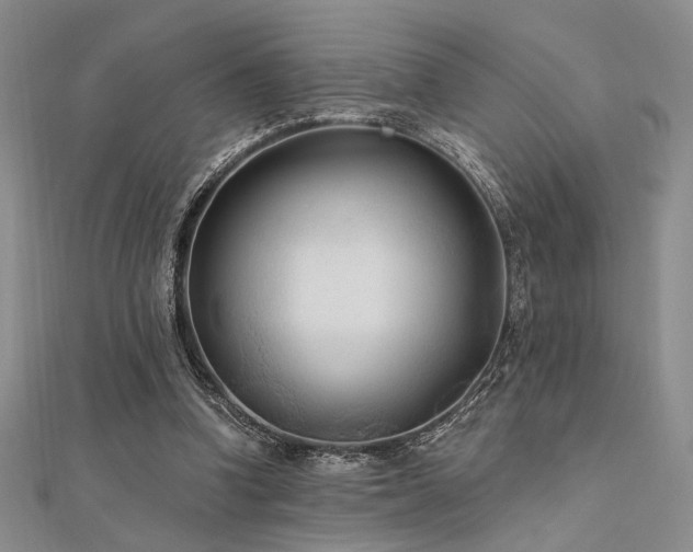 X0000112180346200908071331