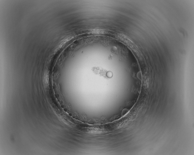 X0000112180347200908071331