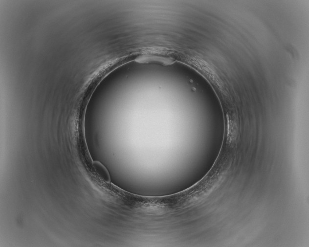 X0000112180348200908071331