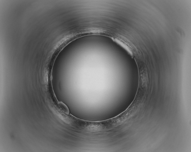 X0000112180350200908071331