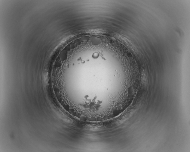 X0000112180351200908071331