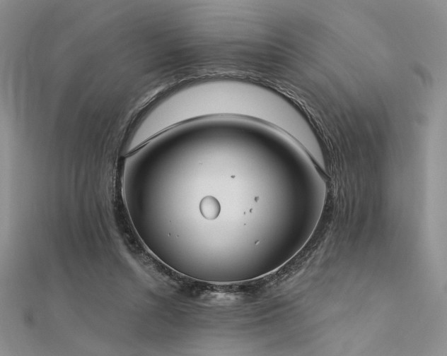 X0000112180352200908071331