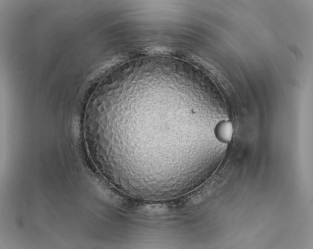 X0000112180353200908071331