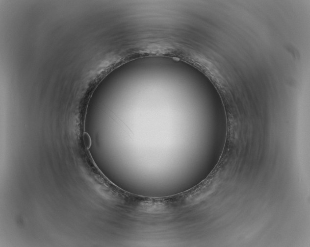 X0000112180354200908071331