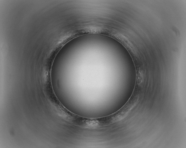 X0000112180355200908071331