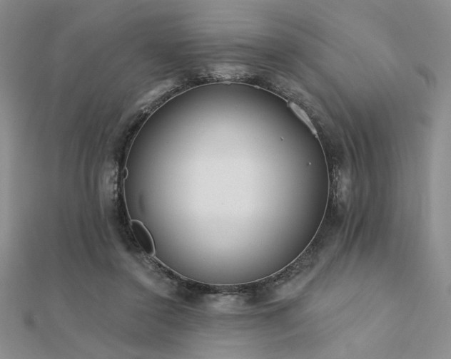 X0000112180356200908071331