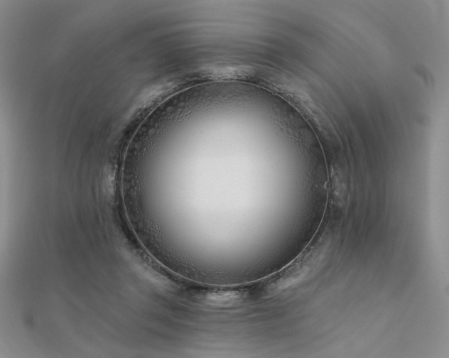 X0000112180357200908071331