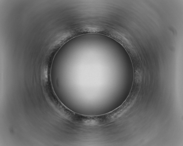 X0000112180358200908071331