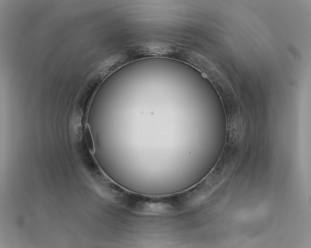 X0000112180360200908071331