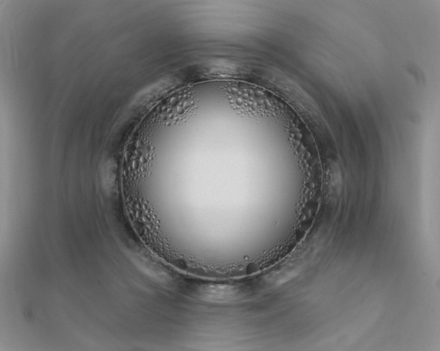 X0000112180361200908071331