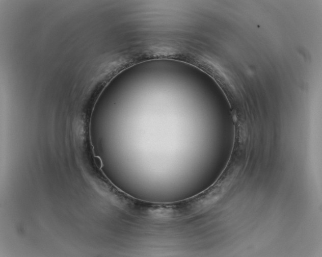 X0000112180362200908071331