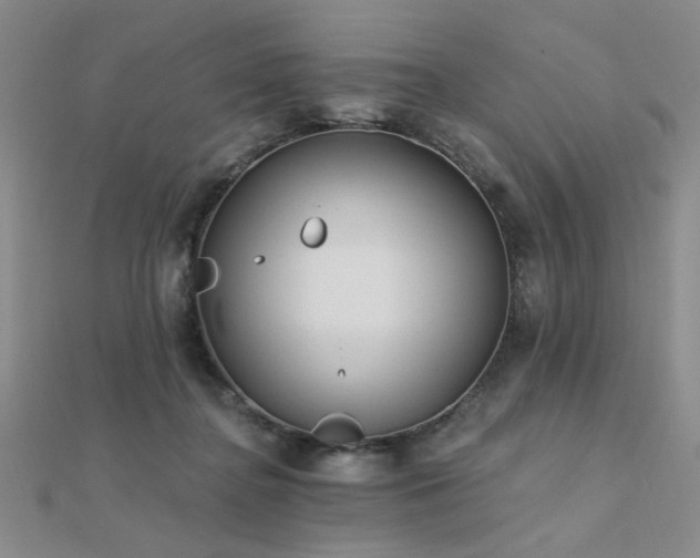 X0000112180364200908071331