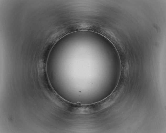 X0000112180366200908071331