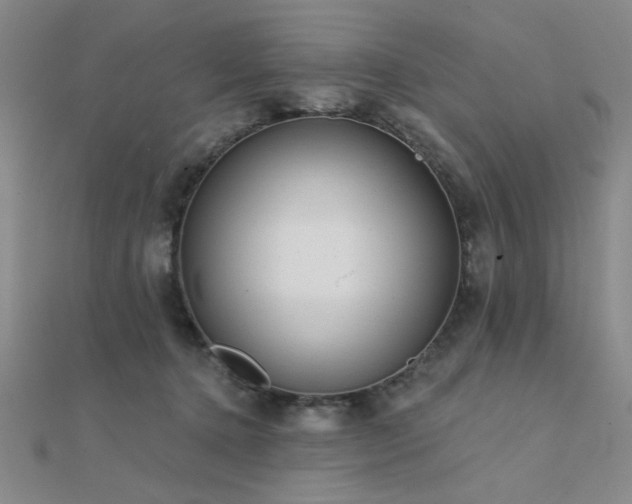 X0000112180368200908071331