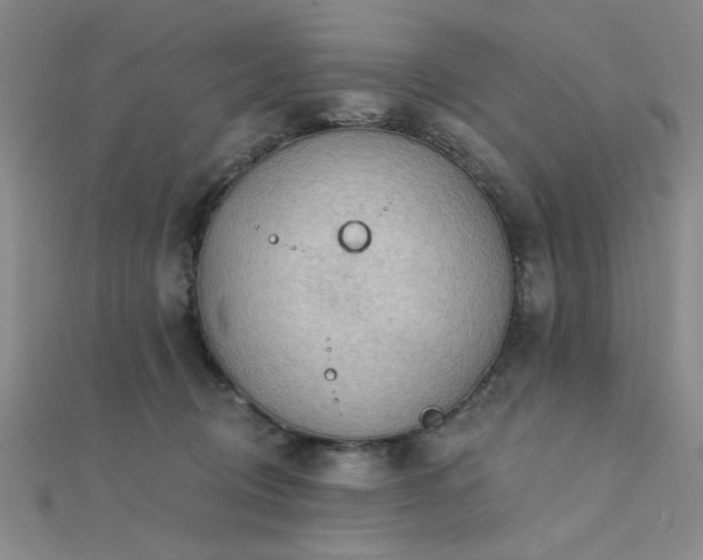 X0000112180370200908071331