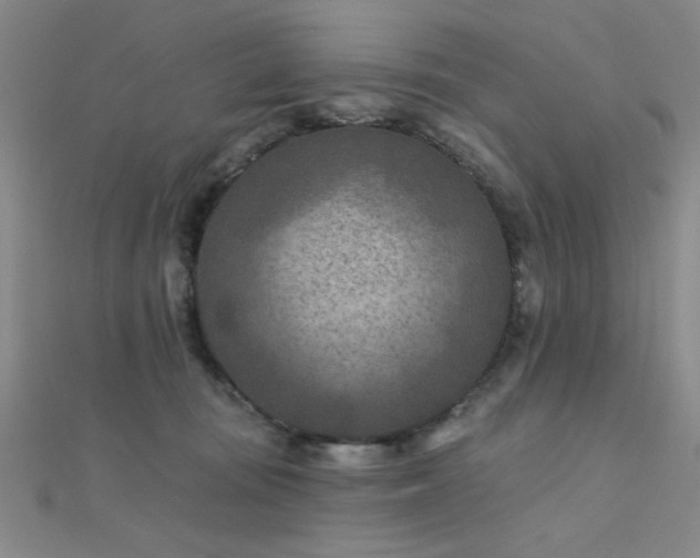 X0000112180371200908071331