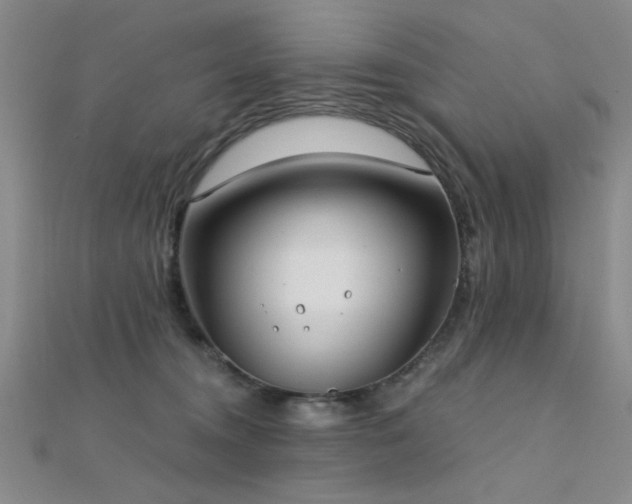 X0000112180372200908071331