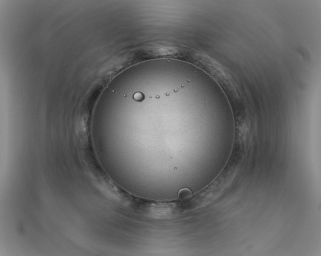 X0000112180373200908071331