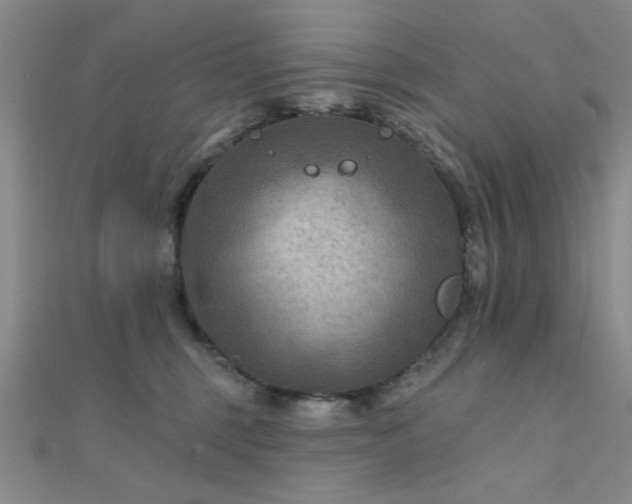 X0000112180375200908071331