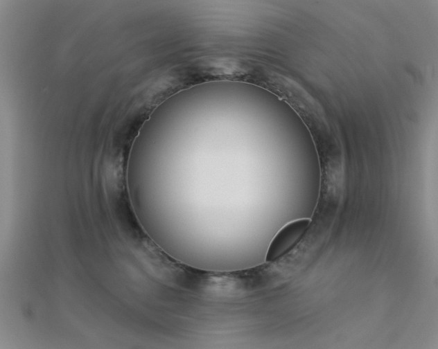 X0000112180376200908071331