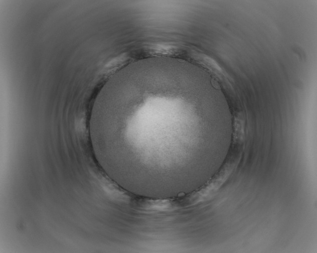 X0000112180377200908071331