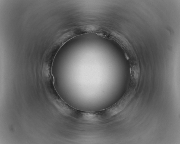 X0000112180380200908071331