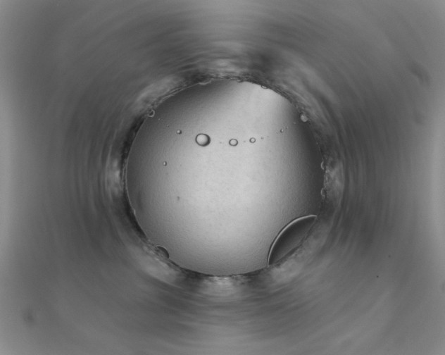 X0000112180381200908071331