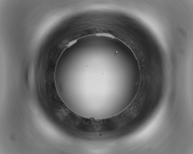 X0000112180382200908071331