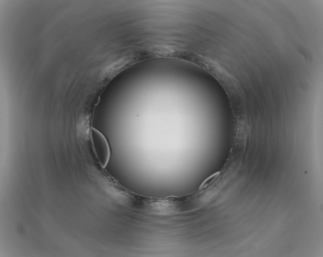 X0000112180383200908071331