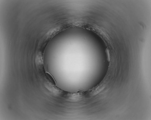 X0000112180384200908071331