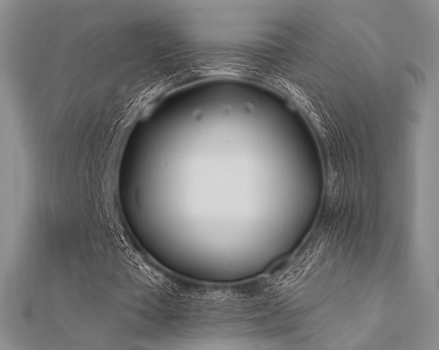 X0000112180385200908071331