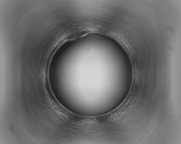 X0000112180386200908071331